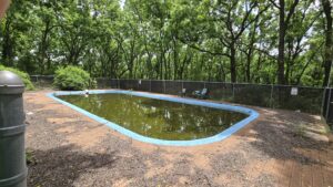 Lord Stirling School Redevelopment - Condemned Pool Structure